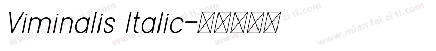 Viminalis Italic字体转换